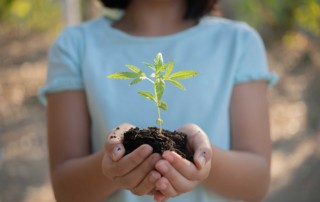 pasar tiempo en la naturaleza quirovida intro