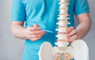 quiropractica profesional Quirovida